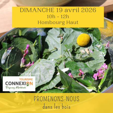 Promenons-nous dans les bois