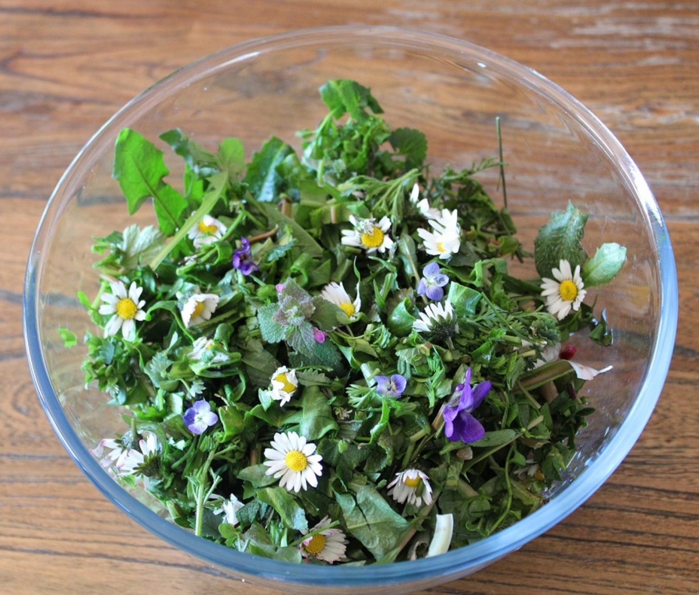 Salade de jeunes pousses de plantes sauvages